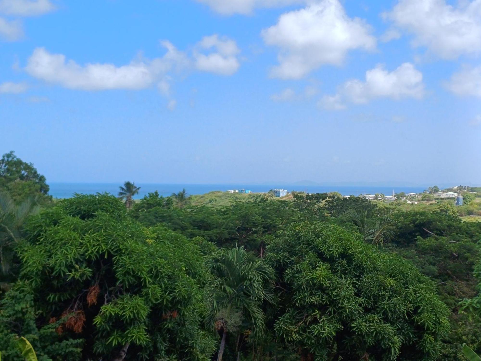 Rooster Run Glamping Camping Has Rooftop And Off The Ground Glamping Experience For 1 To 16 In A Single Tent And Views Of The Rain Forrest And To Culebra Across The Atlantic Ocean W Tents, Linens, Deluxe Air Beds, Warm Shower And More At A Great Pric Вьекес Экстерьер фото