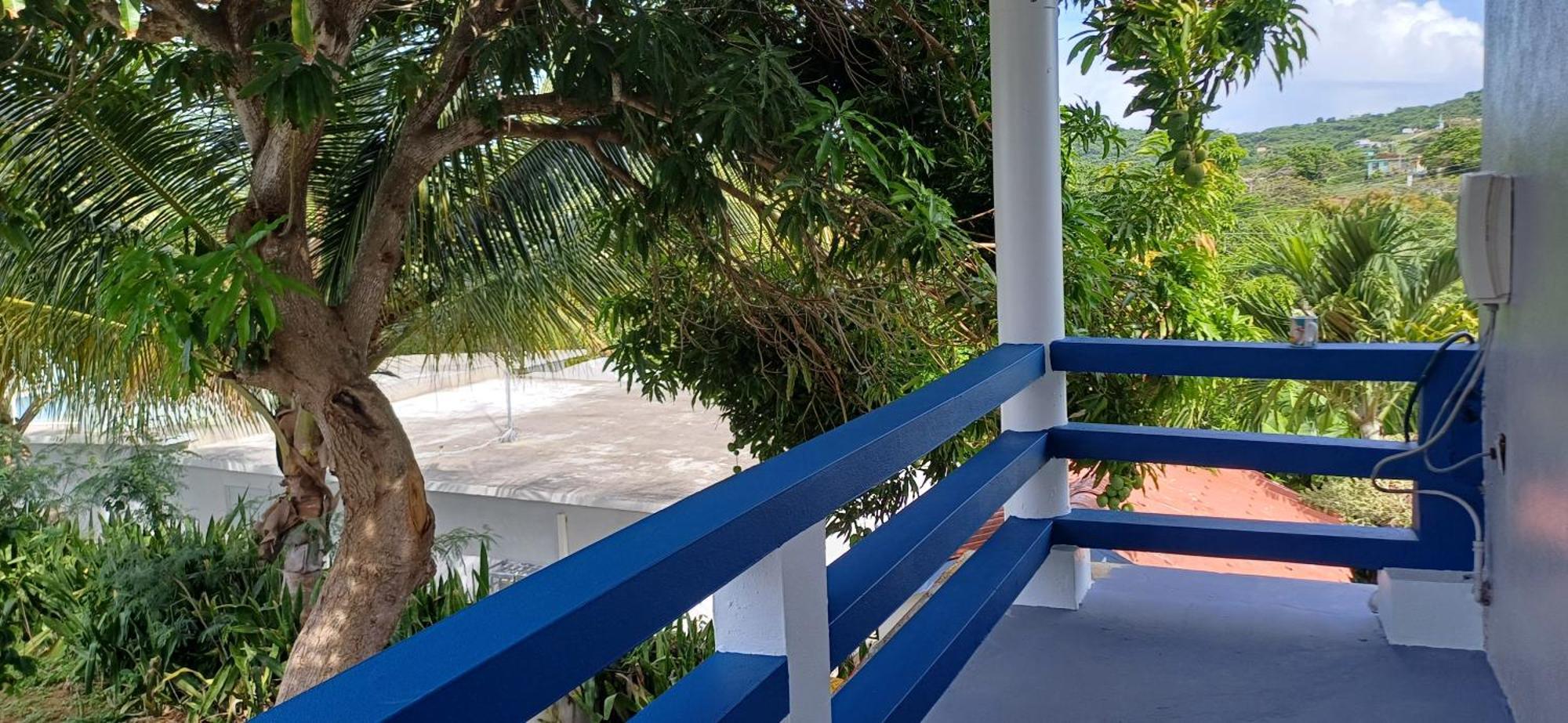 Rooster Run Glamping Camping Has Rooftop And Off The Ground Glamping Experience For 1 To 16 In A Single Tent And Views Of The Rain Forrest And To Culebra Across The Atlantic Ocean W Tents, Linens, Deluxe Air Beds, Warm Shower And More At A Great Pric Вьекес Экстерьер фото